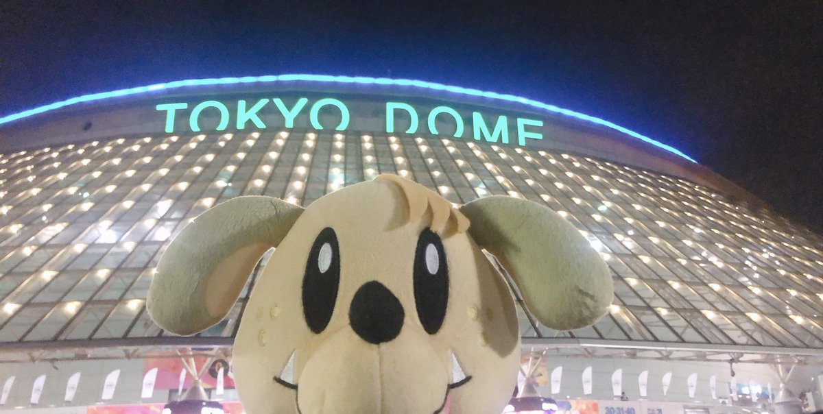ゆうにゃん☆彡 tweet media