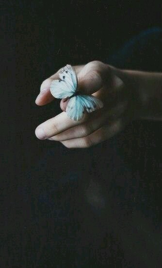 zigext's tweet image. 🦋 4:16
🦋 Thanos / Stephen Strange
🦋 Hogwarts! AU

readawrite.com/c/a7b374ec175f…

#SupremeTitan #AllStrange #ZigextFic