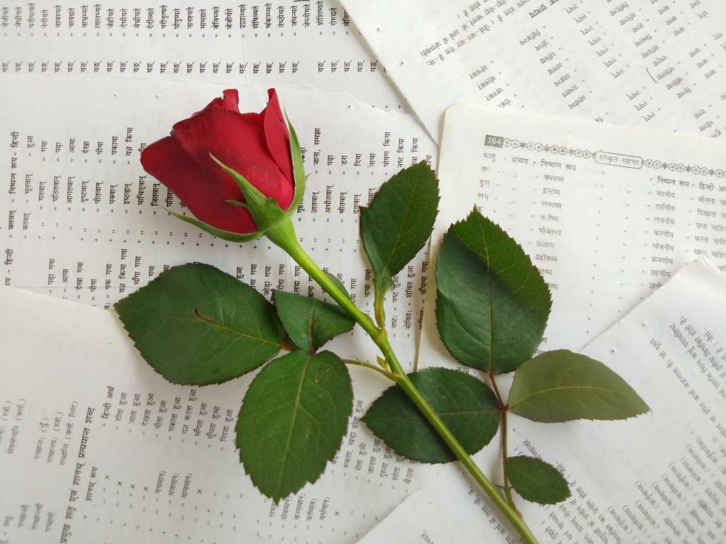 FelipeTawan563's tweet photo. Só tenho a dizer, feliz dia das mães para todas mães que deram a luz a nós filhos🤰, que tivemos a grande oportunidade de dizer "Mãe, te amo muito de todo o meu coração ❤️". 
Bom dia mamãe 😘💕 https://t.co/sS9cOvw5Lp