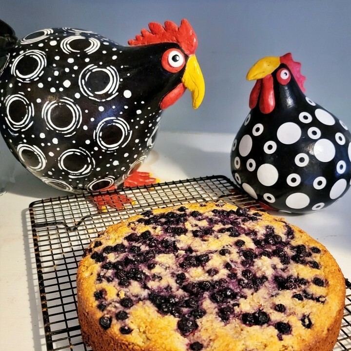 botanical_eat's tweet image. A cake to celebrate our mother nature and the sweetness of patch to plate &amp;amp; farm to table living!

Rhubarb Blueberry Oat &amp;amp; Almond Cake.  Recipe link in bio.

#botanicalkitchen #patchtoplate #farmtotable #cake #mothernature #mothersday #rhubarb #blueberry… instagr.am/p/CdS7EluMhLF/