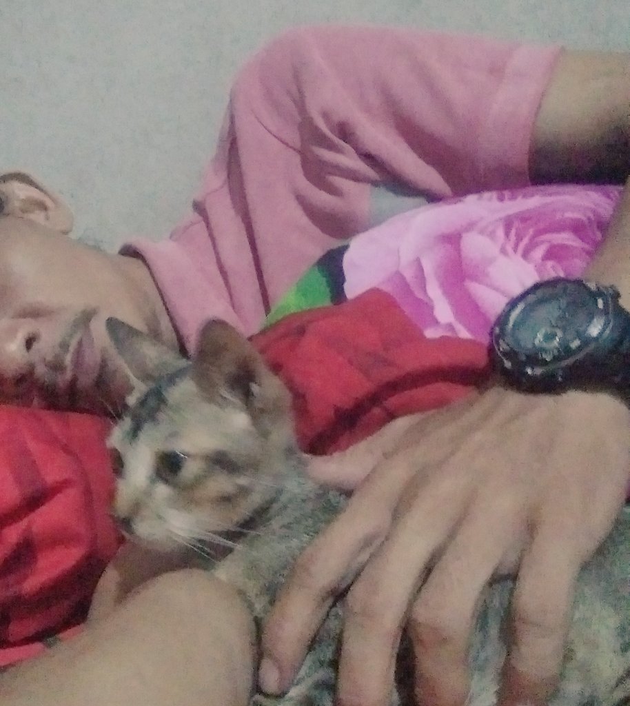 Unay (@zharuyaky) on Twitter photo 