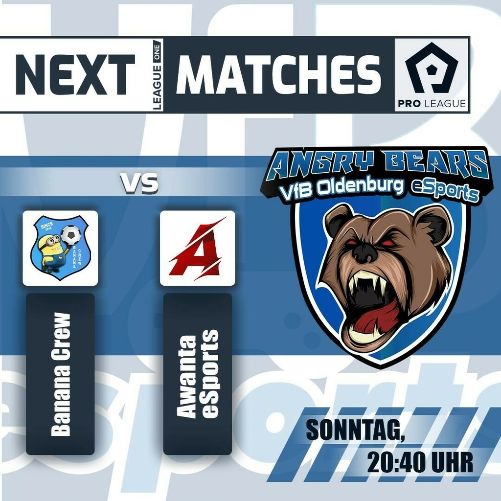 VfB Angry Bears tweet media