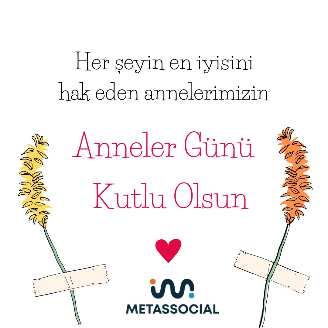 Metassocial (@metassocial1) on Twitter photo 