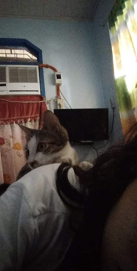 sheeynvirus's tweet photo. Miss you Grio :< https://t.co/thjT1PNX3S