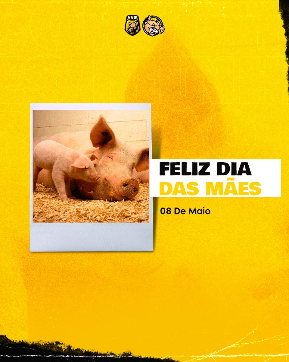 XVIIIdeMarco's tweet photo. A família XVIII deseja a todos um feliz dia das mães!!! 
🖤💛🖤

Queremos parabenizar essas mulheres incríveis, guerreiras e fortes !!! Afinal todo dia é dia delas !!! Mãe é a definição de amor 🫶🫶🫶

🐷🐷🐷 https://t.co/UXBud4zqCe