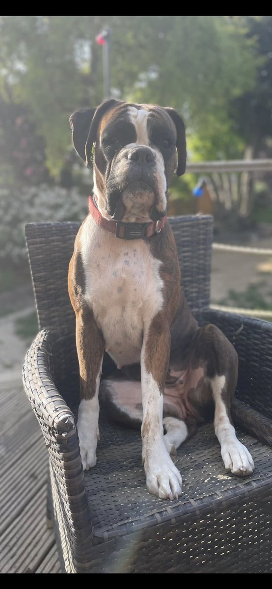 Some say that I’m a poser. They are correct.