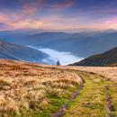 Cont_Interbeing's tweet image. The truth in you remains as radiant as a star, as pure as light, as innocent as love itself.
—A Course in Miracles
#EncounterDiscoverCreateTransform Sunday
Inspiration: zpr.io/4NW6REEq2ZhS