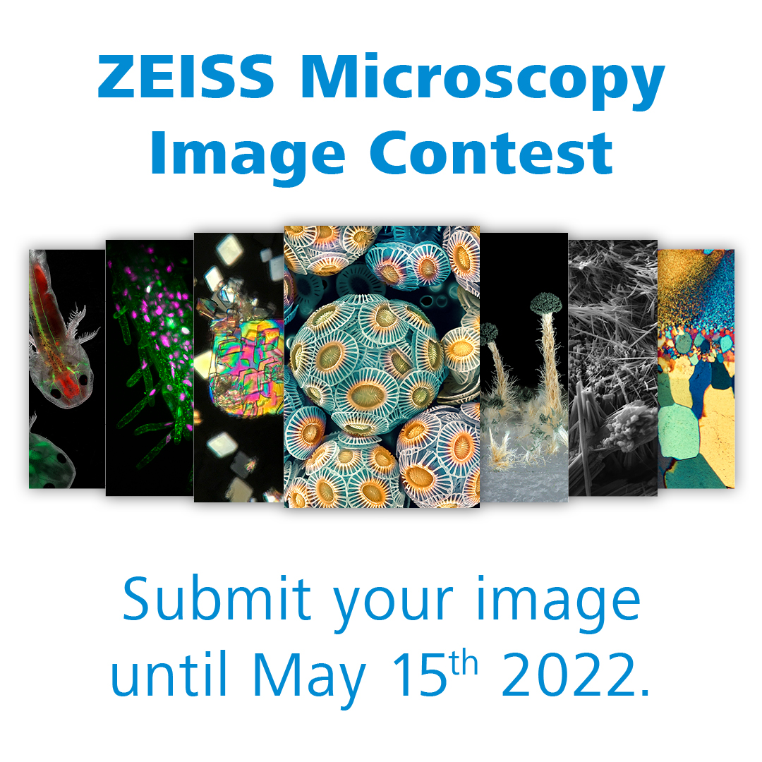 zeiss_micro's tweet image. You haven&apos;t submitted your best microscopy image to the #ZEISSImageContest 2022 yet? You still have one week to go! 🏆🔬 Choose between nine different categories, with one winner selected for each. Submissions are open until Sunday, May 15, 2022: zeiss.ly/t-contest-2022