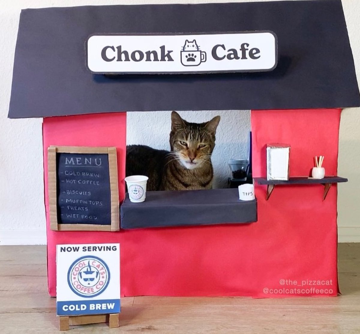 CatWorkers's tweet photo. https://t.co/oMguArzpnB