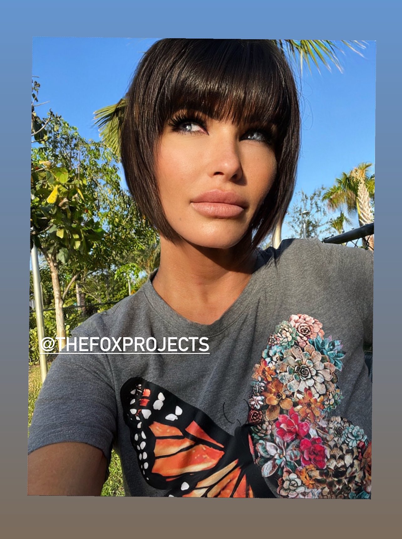 TW Pornstars - Shay Fox. Twitter. 🦋🌸🌴🌞 Yes please & Thank you. More