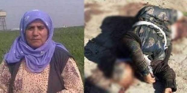 Ciyager737's tweet photo. Annem tam tamına 7 gün sokakta kaldı. Hiç birimiz uyuyamadık köpekler gelir, kuşlar konar diye. O orada yatti biz 150 metre ilerisinde öldük.
#TaybetAna https://t.co/uLhrFeebXW