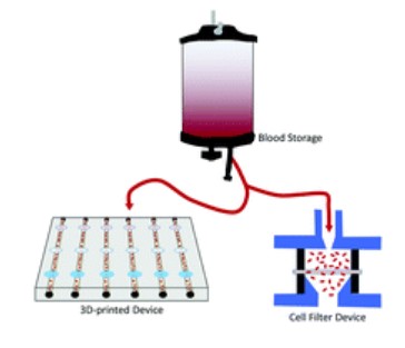 A 3D-printed transfusion platform reveals beneficial effects of normoglycemic erythrocyte storage solutions and a novel rejuvenating solution

Yueli Liu &amp; Dana Spence et al. <a href="/MSUIQ/">IQ</a> <a href="/MSU_EGR/">MSU College of Engineering</a>

➡️ rsc.li/3KOgjKM