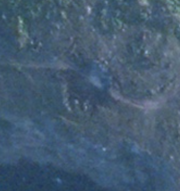 FSPJpYuWQAEsKCa?format=png&name=small