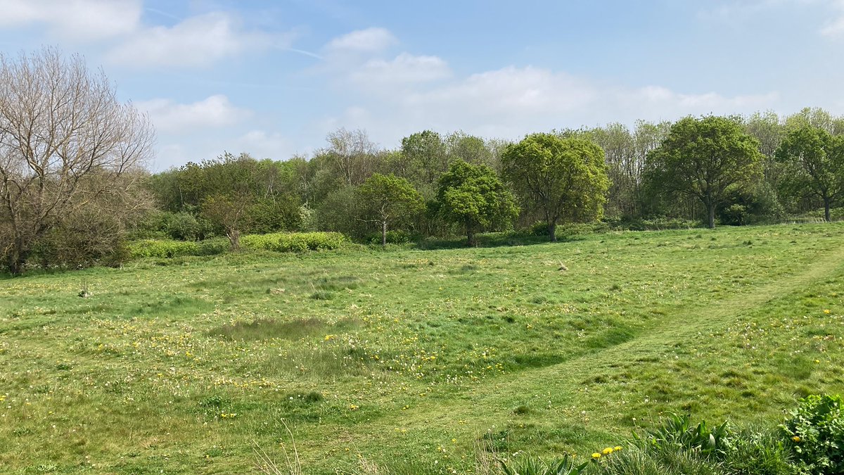 What type of a psychopath would think of building a road through this?
#SaveRimroseValley