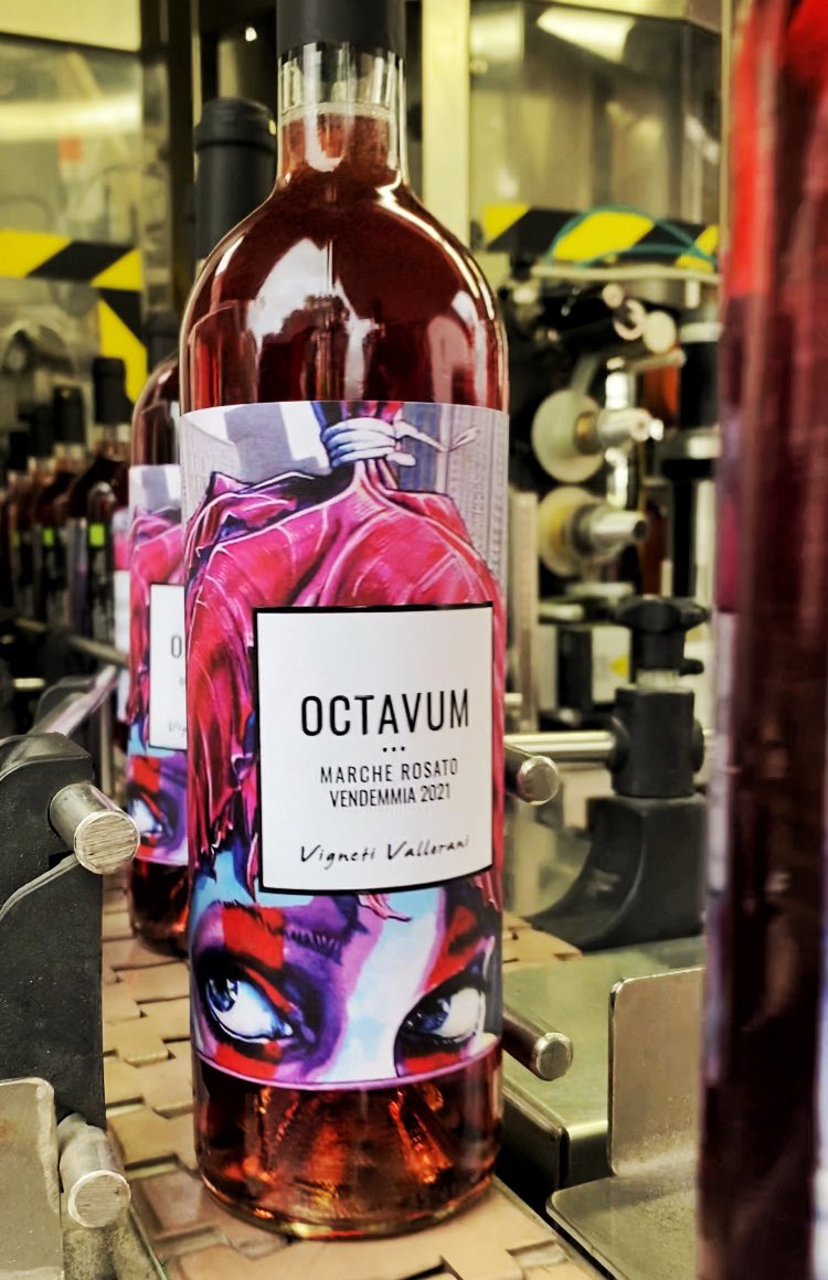 Octavum 2021 is back 🥳🍷#wine #organicwine #winelover #vignaioliindipendenti