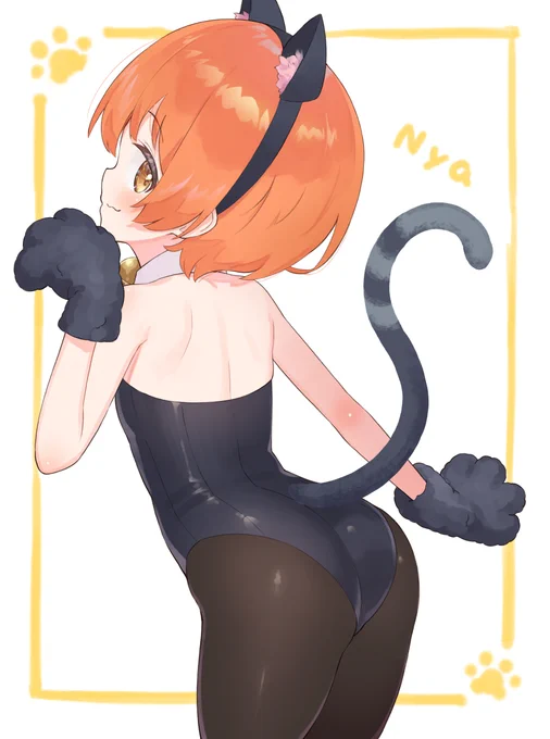 🐈 