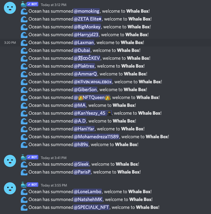 Whale Box tweet media