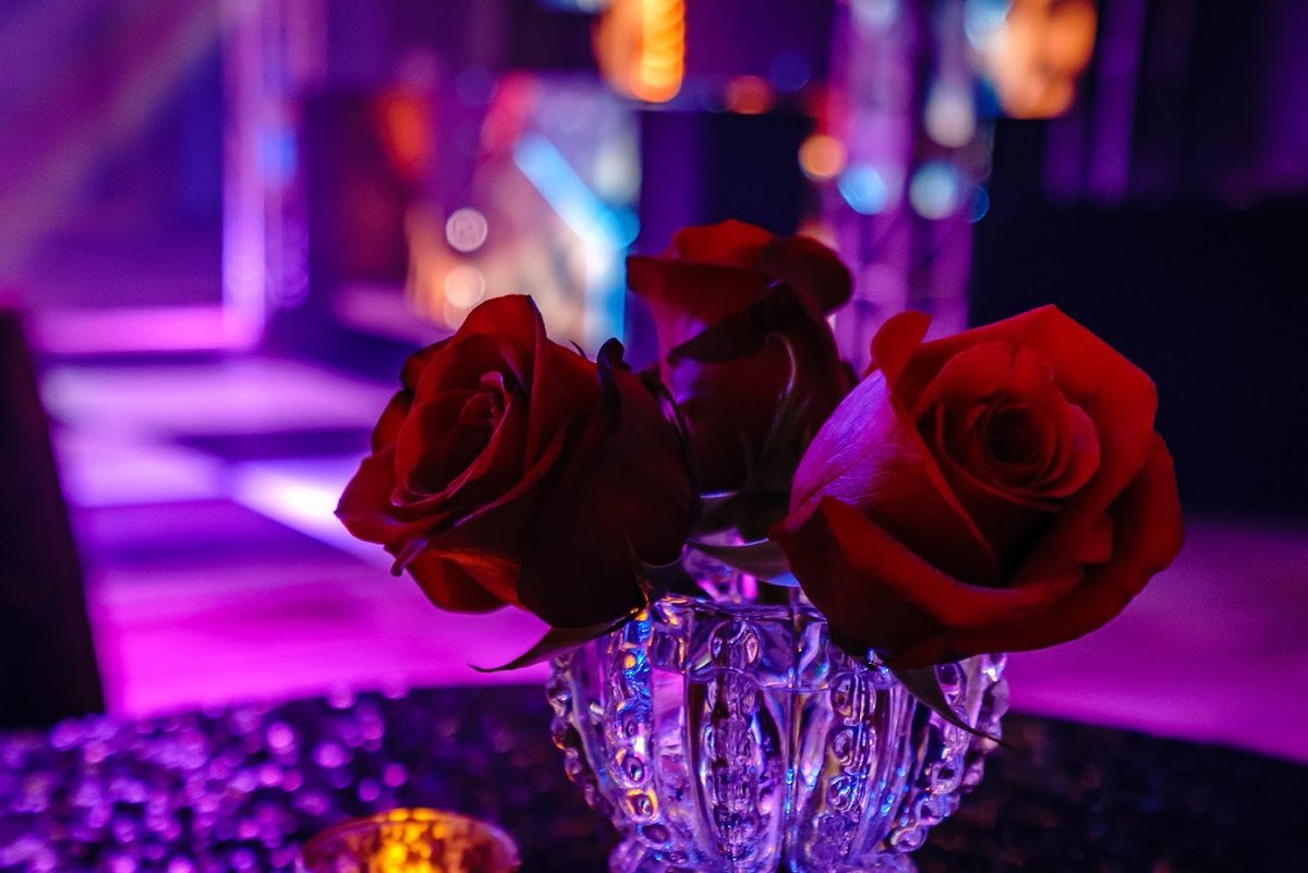 akulliancreates's tweet photo. Happy Mother's Day to all the incredible moms out there... you deserve a thousand roses! https://t.co/0RamB7LCXo
