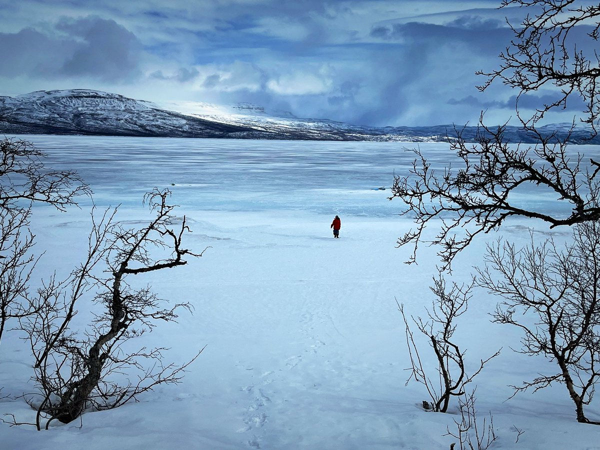 Anders_Lindberg's tweet photo. Fint på träsket idag. Kortkort tråd om isfiske med nät nedan.
#torneträsk #livetinorr #flytthit https://t.co/g8xO4q3H3S