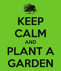 CCC Plant Sale tweet media
