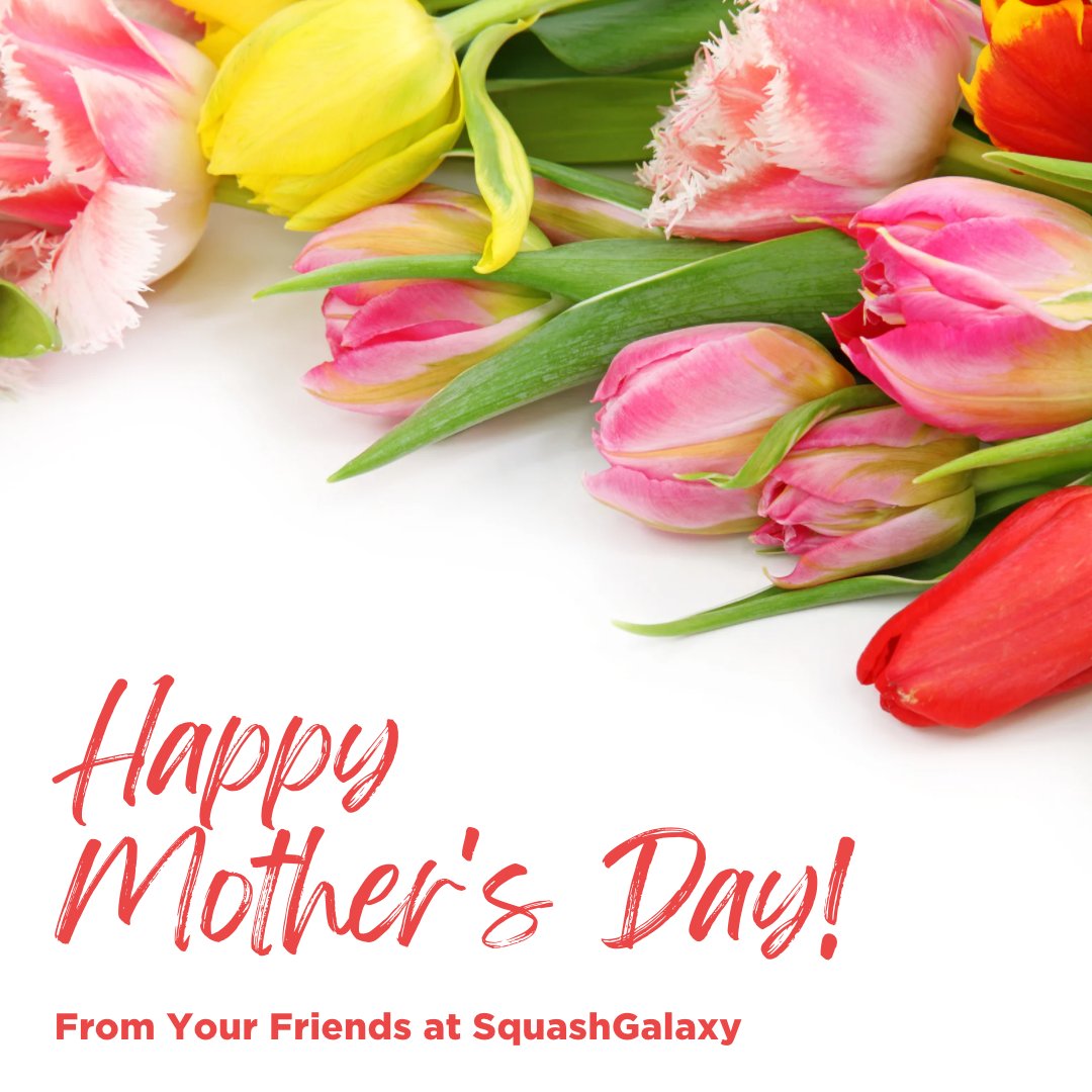 SquashGalaxy's tweet photo. Happy Mother’s Day to all the Squash Moms!! If Mom asked for a racquet for Mother’s Day, which one would you get her? https://t.co/B2jAEhuOyU