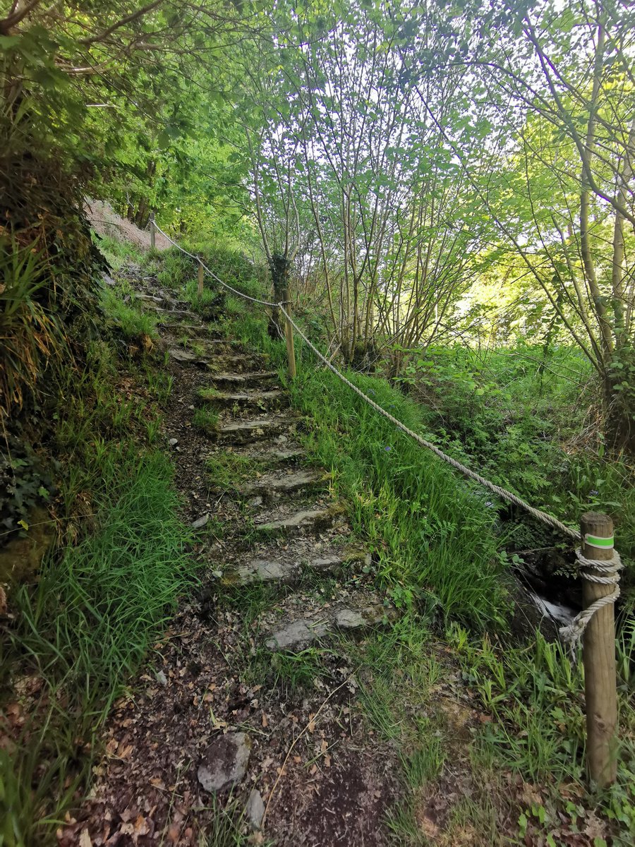 Mamouletta1's tweet photo. Petite rando nature, 12km dans la forêt au profit de l'association #GrainDeSel 👌
https://t.co/RhYRTTnA0v https://t.co/dcRmhdESYG