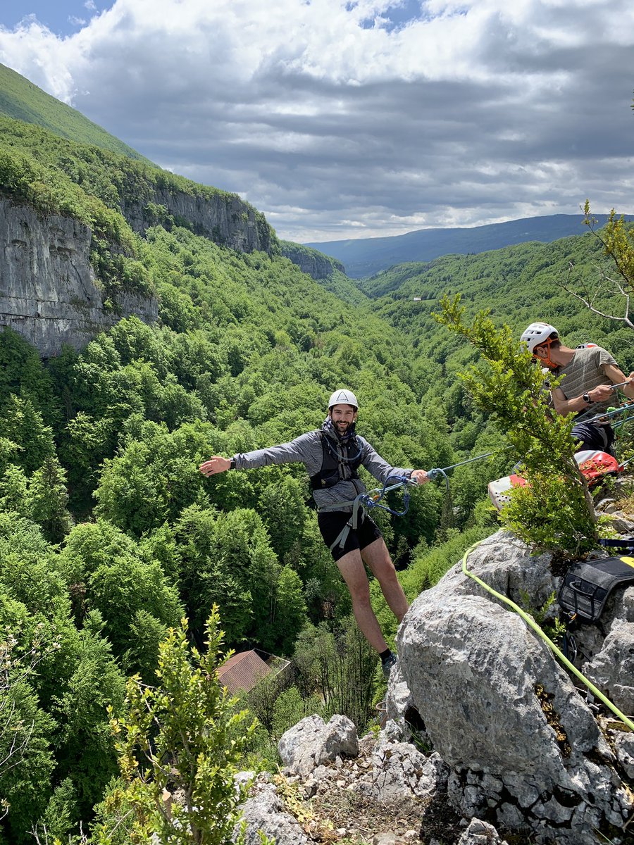 Polypolyrobrob tweet media