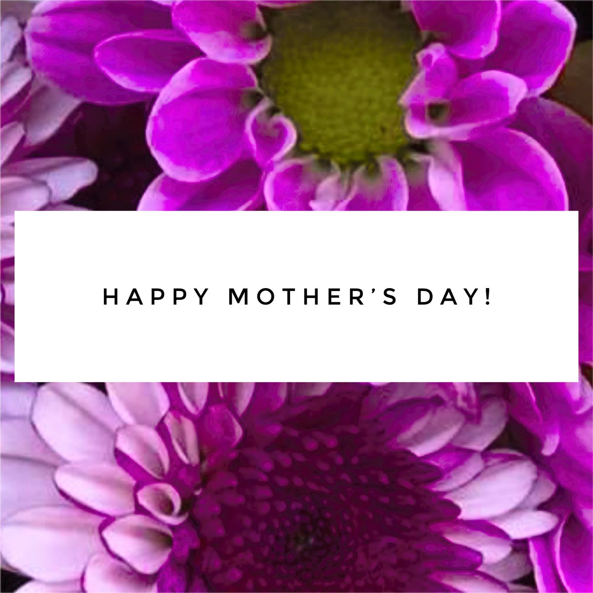 SixthStMusic's tweet photo. Happy Mother’s Day to all of our 6th Street School of Music Mothers! Enjoy your day! 🌸💕🌸!!! https://t.co/UJL90FqqIO