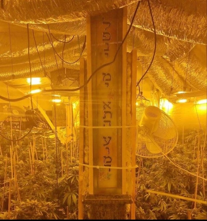 פרייל ⓥ tweet media