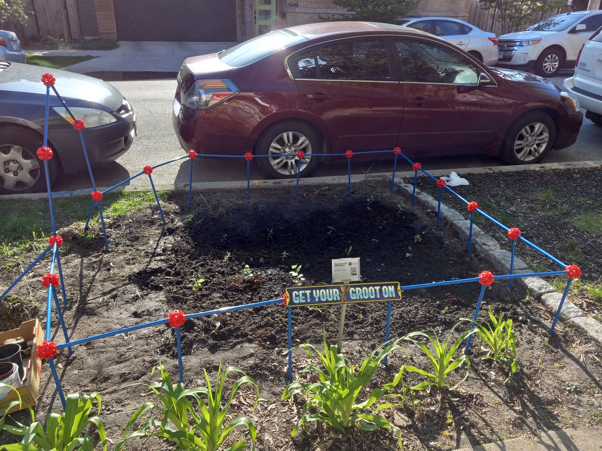 Amy Dusto tweet media