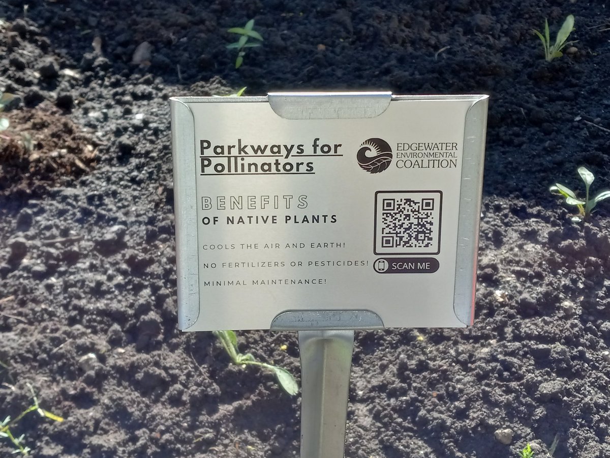 Amy Dusto tweet media