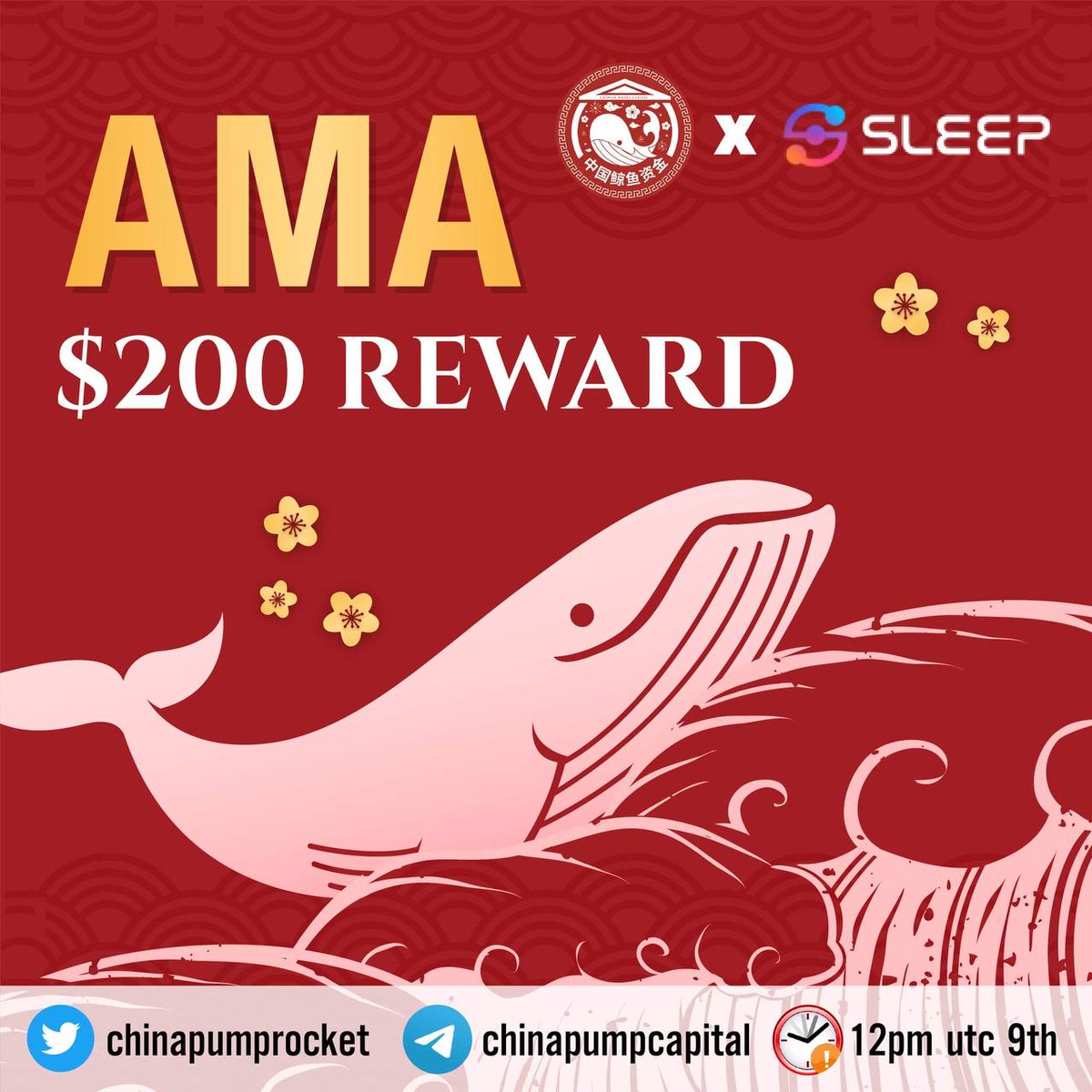 chinapumprocket's tweet photo. Chinese Whale Capital will held an AMA with  https://t.co/L4C9RAE1md on 09 May 2022 l 12:00 PM UTC l 20:00 GMT +8

Prize: 200 USDT
Rules:
1. Follow @ecosystemsleep &amp; @chinapumprocket 
2. Join Telegram @ChinaPumpCapital &amp; @sleep2earn
3. Like, Retweet  &amp; Ask questions (max 3) https://t.co/1YYUlamOvx