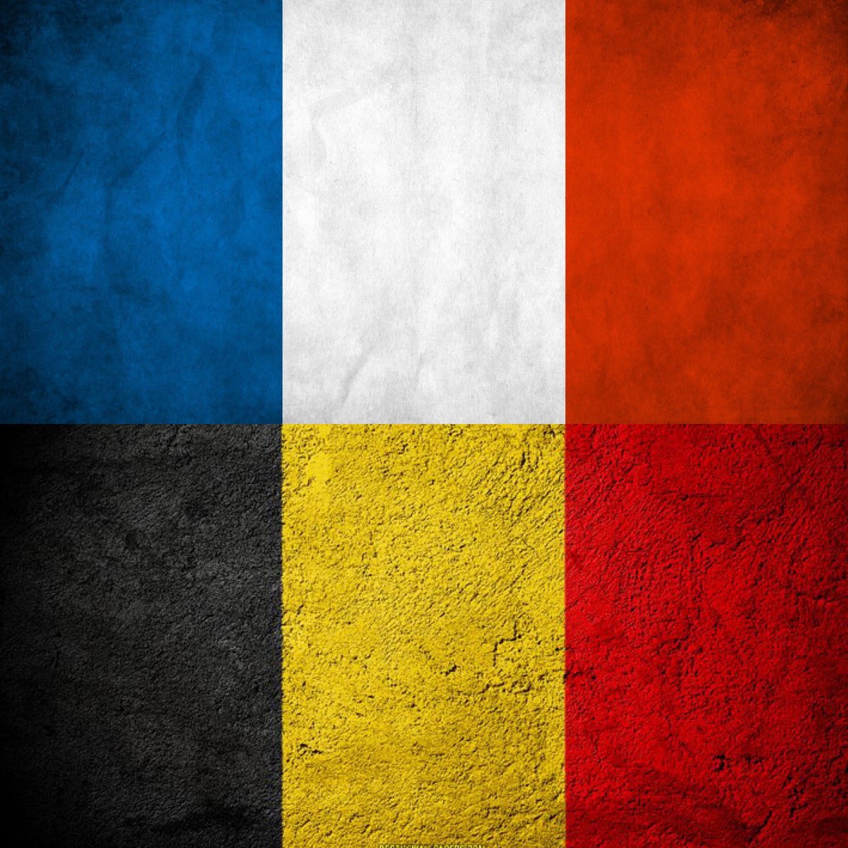 PoloReship's tweet photo. We are proud to announce that France 🇫🇷 and Belgium 🇧🇪 have been added as new regions in our server.

Now our server supports the major regions in Europe with the exclusivity of offering completely private addresses.

Other regions will be added shortly.

#Marcopolo #reship https://t.co/NtK00wl7Og