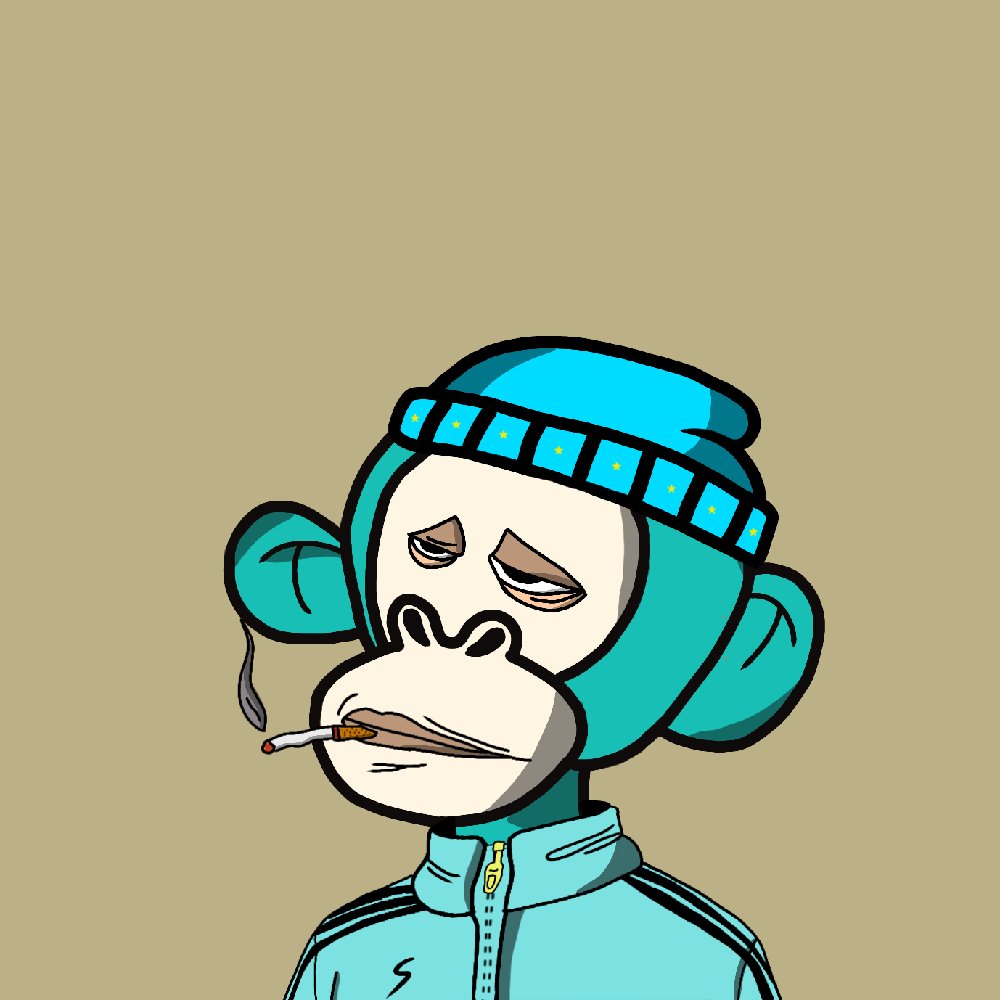 SOLart® tweet media