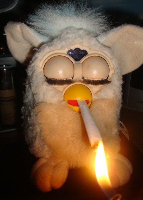 Furby knows the sunday vibe. Anyone else?
#NFT #Crypto #WeedLovers #high #Weed #Crypto