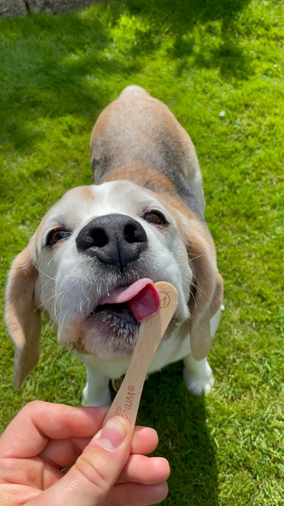 Yumeeezz in my tummy #magnum #Walls