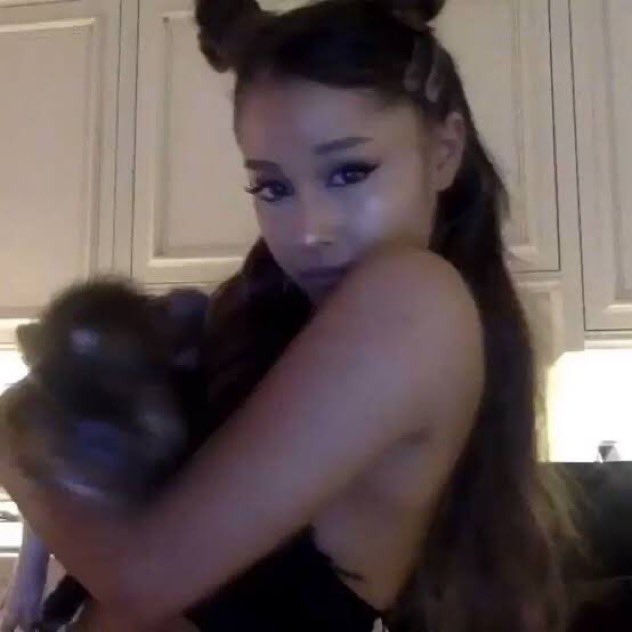 infoari's tweet photo. DEIXEM A PORCA DA ARIANA EM PAZ: A conta da Piggy Smallz foi hackeada há 3 dias e ninguém ligou!

Internautas acreditam que a própria revendedora estaria interagindo com fãs pelo insta de seu pet, mas não é real. https://t.co/aEWe9eBe8J