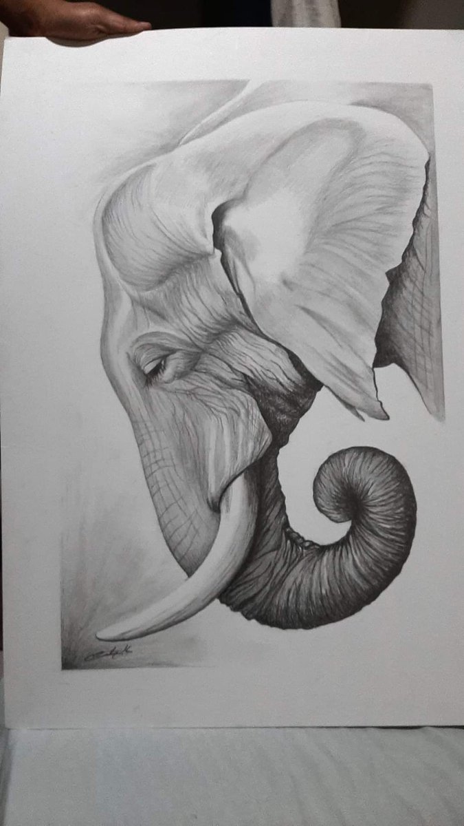 EdQuesad's tweet photo. Mi arte!  A lapiz https://t.co/wH1PMSPePi