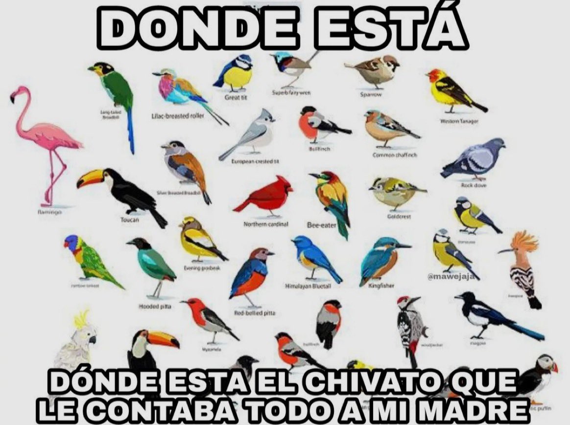 Ibai (@ibaillanos) on Twitter photo 