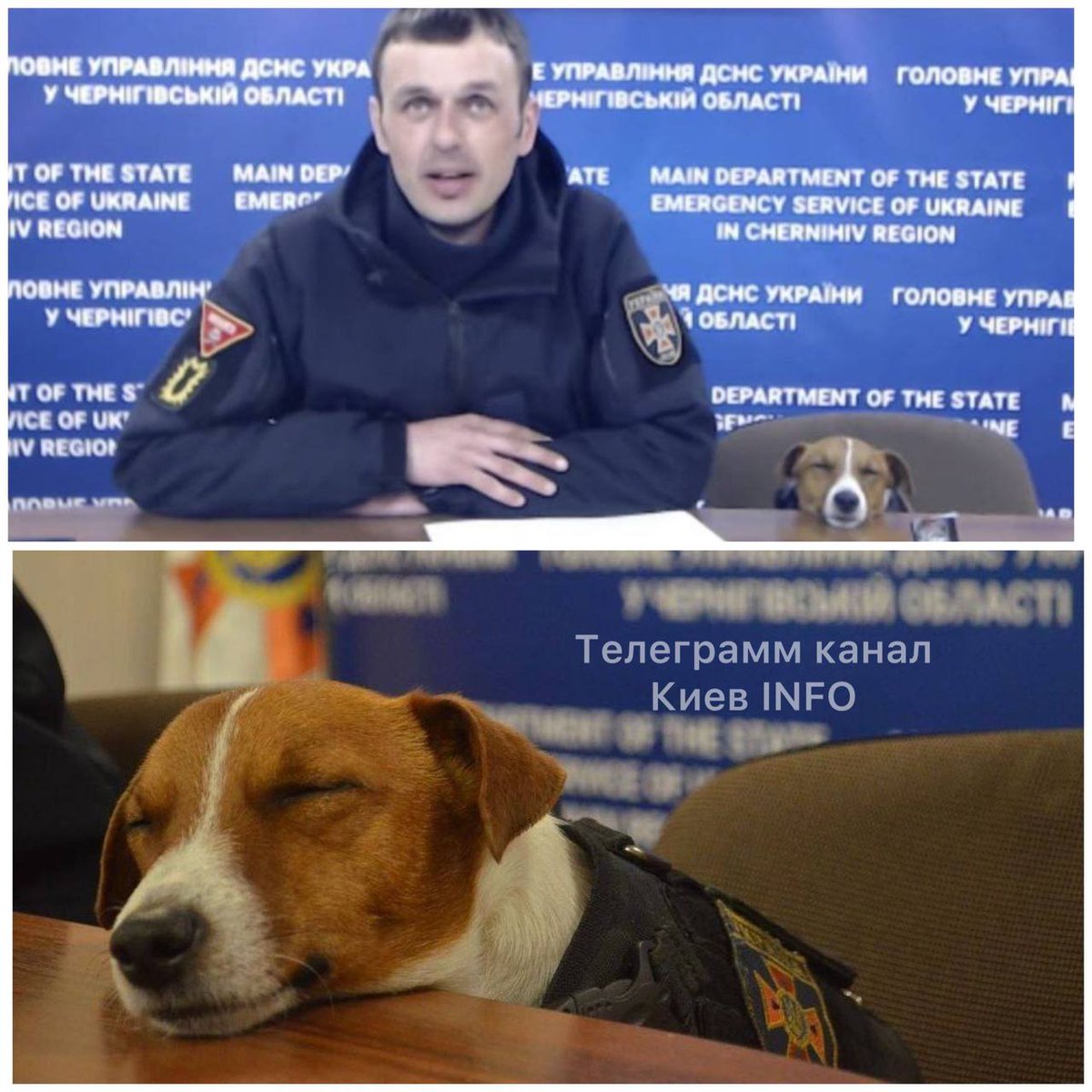 Patron got tired and fell asleep :)

#Patron #StandWithUkraine #ArmUkraineNow