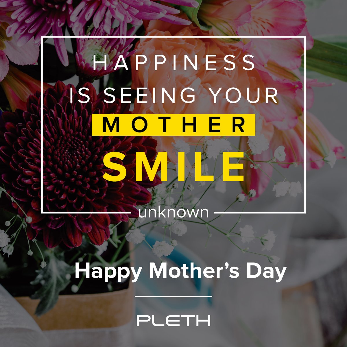 Pleth, LLC tweet media