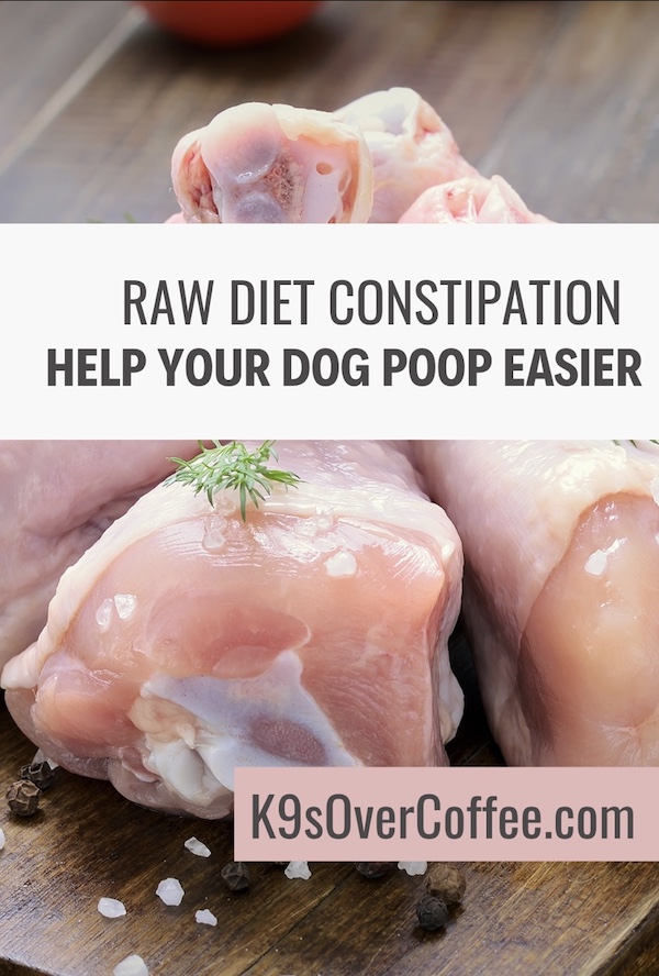 K9s Over Coffee tweet media