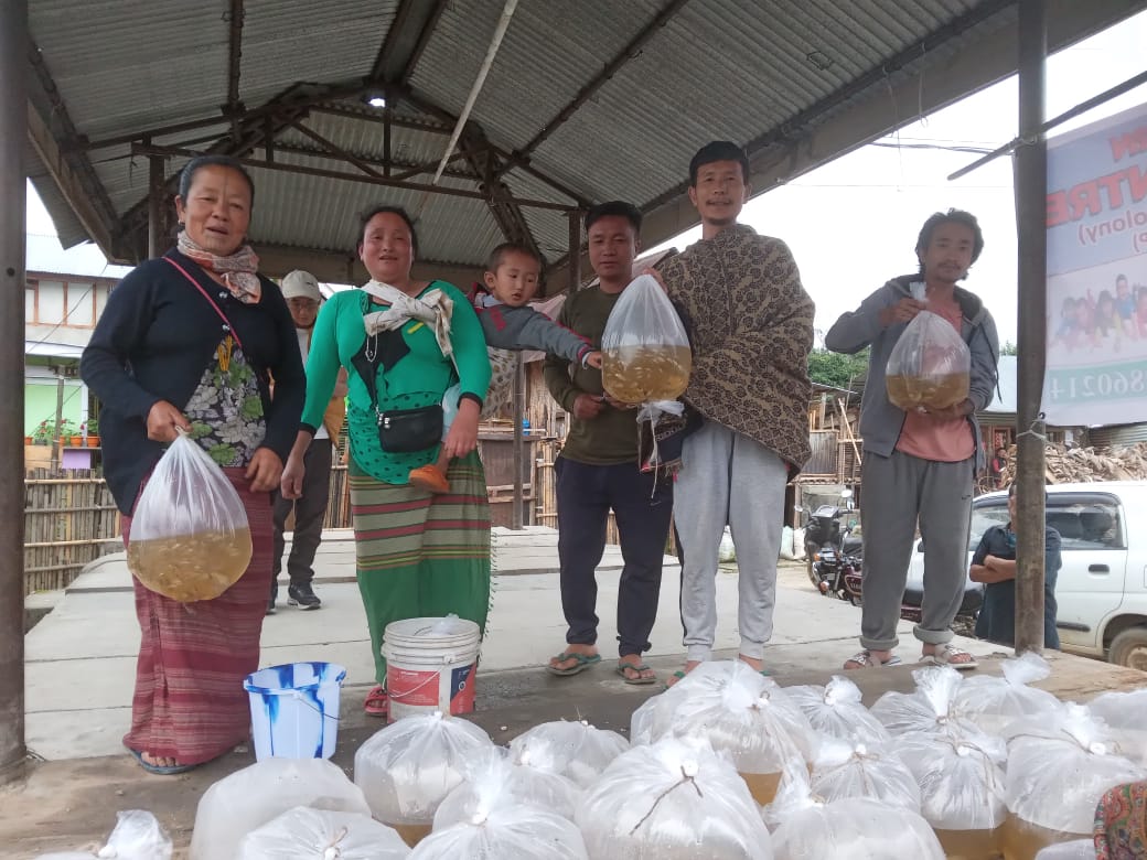 Lower_Subansiri's tweet photo. The Department of Fisheries,Lower Subansiri started Door to Door, Lapang to  Lapang, distribution of improved common carp fish seed at Ziro-1 to increase fish production under paddy cum fish culture.@PemaKhanduBJP @TakiTage https://t.co/tLVSmICarD