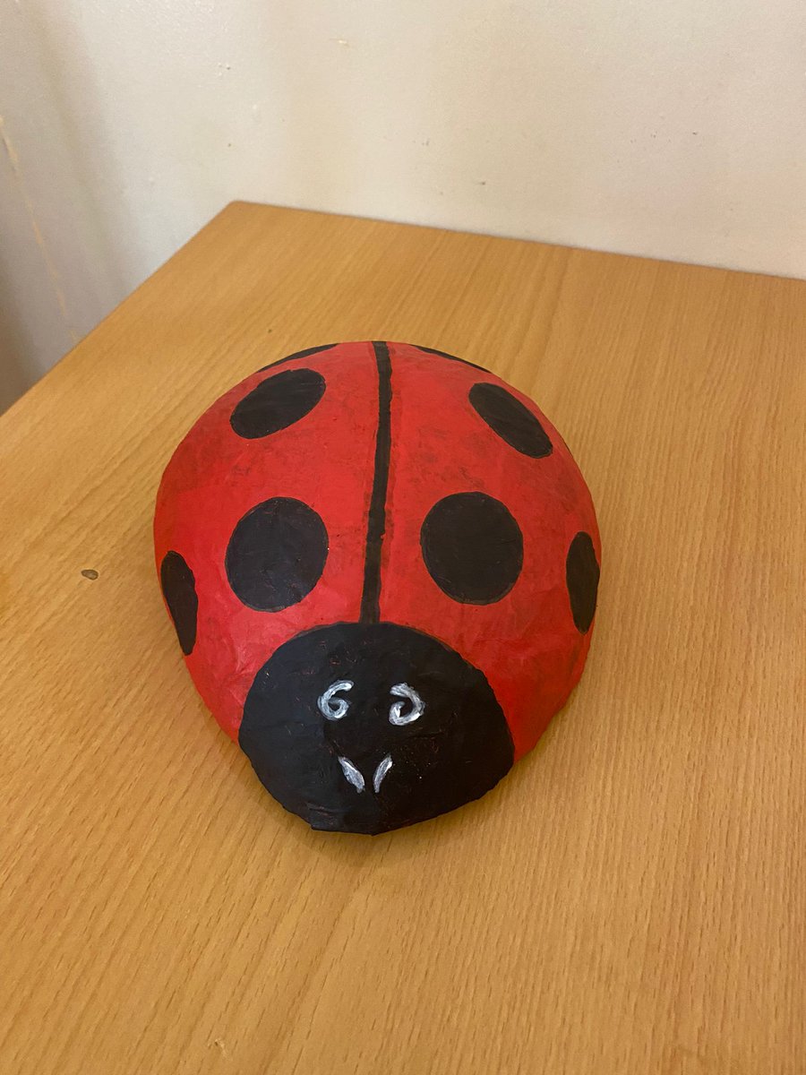 KaraHealthcare's tweet photo. Look at these fabulous Bumble Bees and Ladybirds we have made! They really brighten up our home and make everybody smile.
#BeechTreeHouse #Nature #BumbleBee #Ladybird #GardenRoom #ChurchlakeCare https://t.co/nv2JSJVhnL