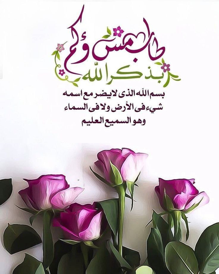 {💜}♩| 

‌ليس الدين أن يكون في يدك مصحف تتباهى به أو بقراءته وحفظه !
بل ان تكون في اخلاقك آياته !
وفي قلبك هدايته !

#مساء_الخيراات 

#اميره_ونوني_للدعم ✨|| "🌸♩

    ❥•||✨
