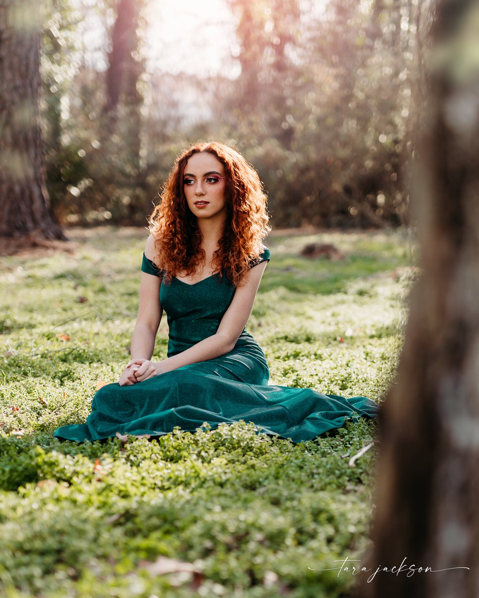 TaraMJax's tweet photo. Beauty in the woods https://t.co/tq9ZCutmNP
