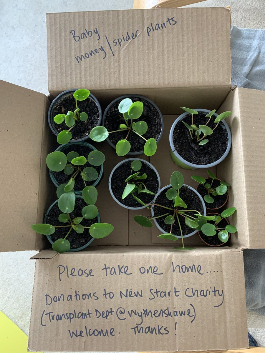 Laura McGarrigle (@txphysio) on Twitter photo Not sure I’ll give up the day job yet but my little hobby has got a bit out of hand so I’m trying to raise a few £ for <a href="/newstartcharity/">newstartcharity</a> 🫁🫀🪴🌱 this is batch number 4! Not sure I’ll give up the day job yet but my little hobby has got a bit out of hand so I’m trying to raise a few £ for <a href="/newstartcharity/">newstartcharity</a> 🫁🫀🪴🌱 this is batch number 4!