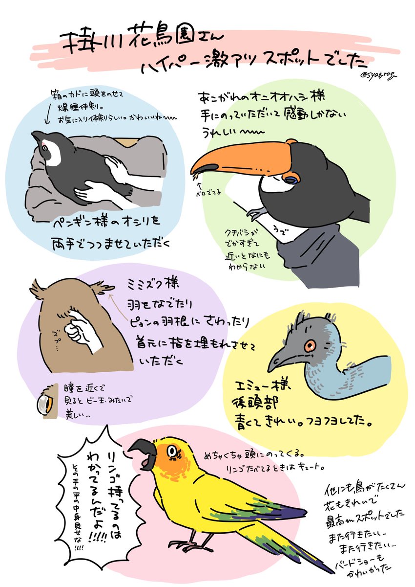 ブチ上がり体験してきたのでレポート提出です 