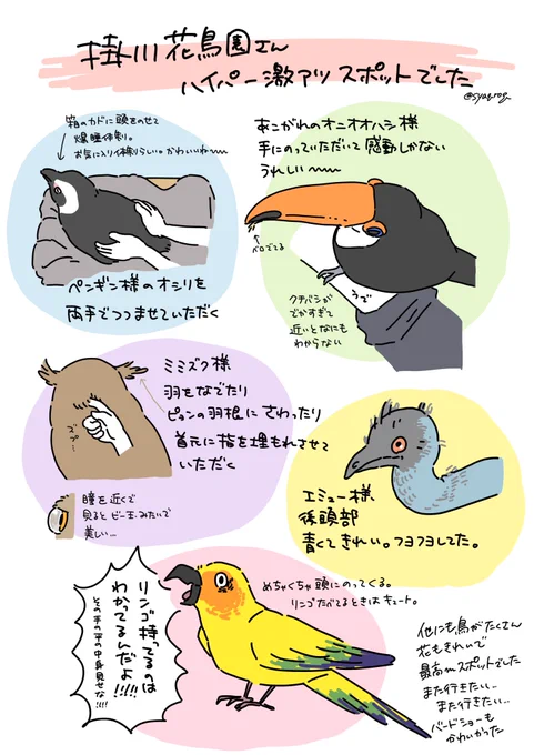 ブチ上がり体験してきたのでレポート提出です 