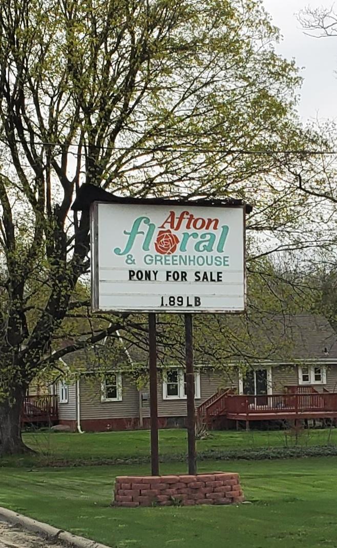 JUBETUBE's tweet photo. Happy Mothers day! Taking mom out for a round of golf, and then she's getting something real nice....can't beat thar per pound price https://t.co/OMOMcRiTjE
